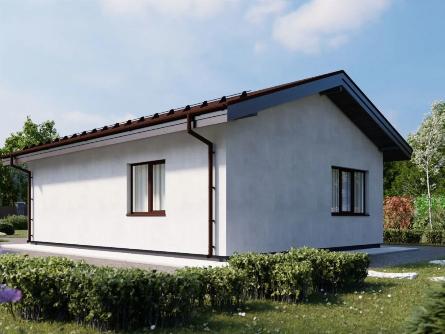 Одноэтажный дом 