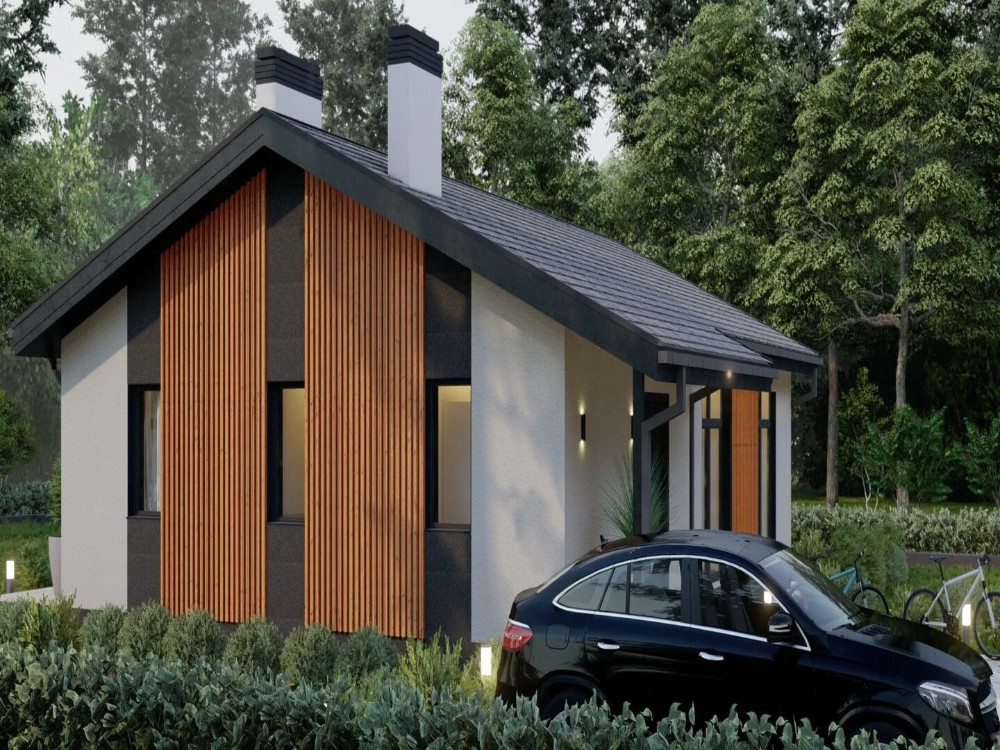 Доментум 96-1