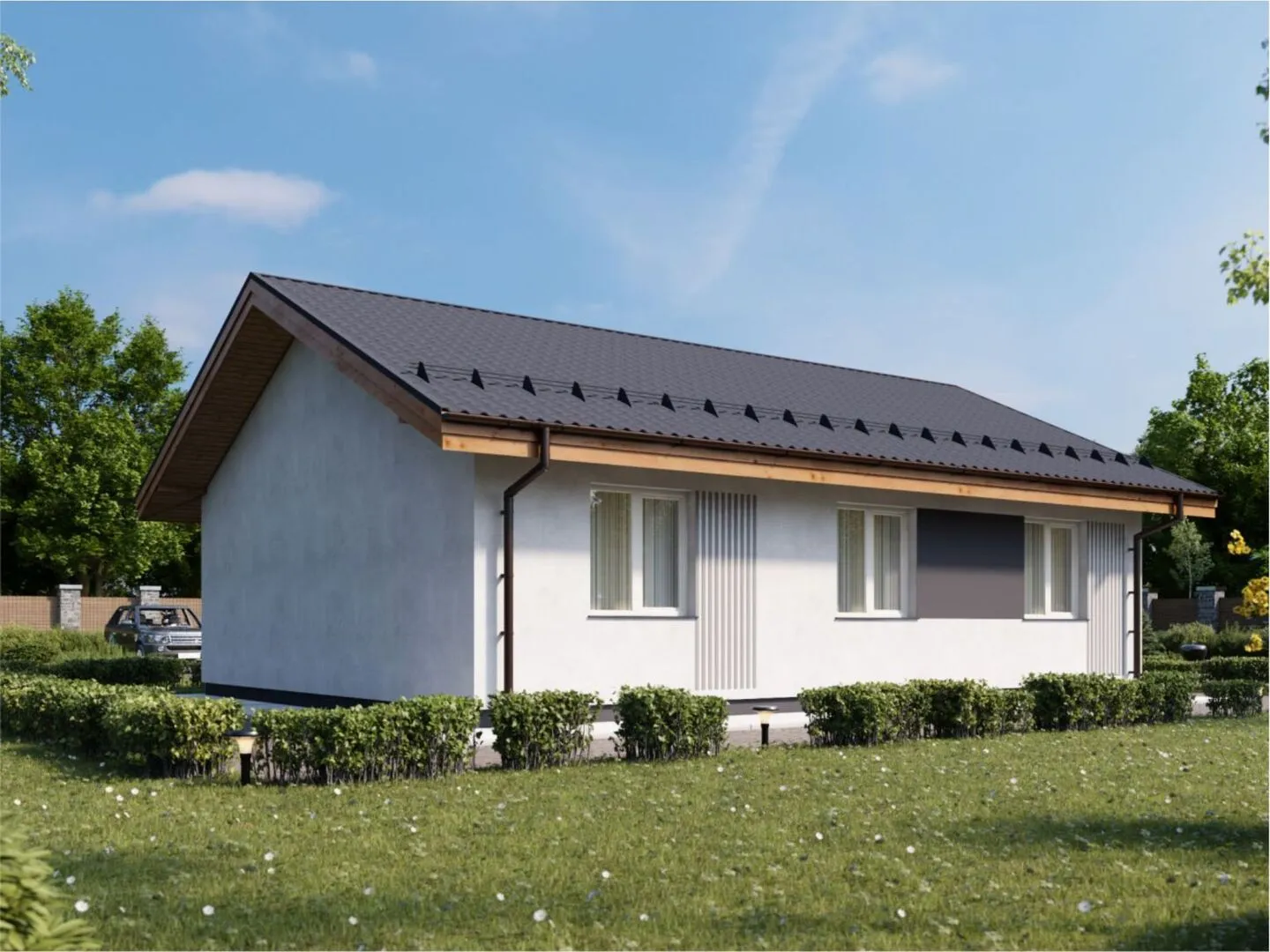 Авторский проект 